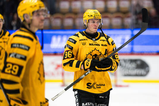 Skellefteås Rickard Hugg deppar