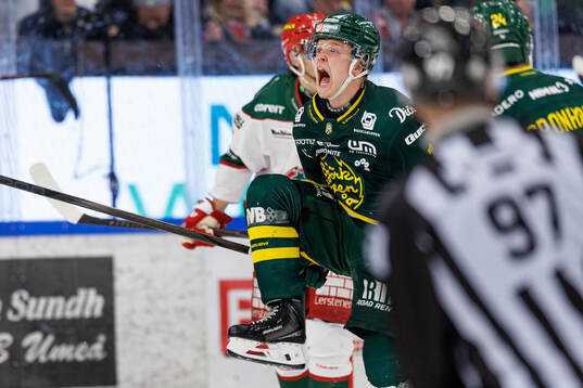Björklövens Liam Dower Nilsson jublar