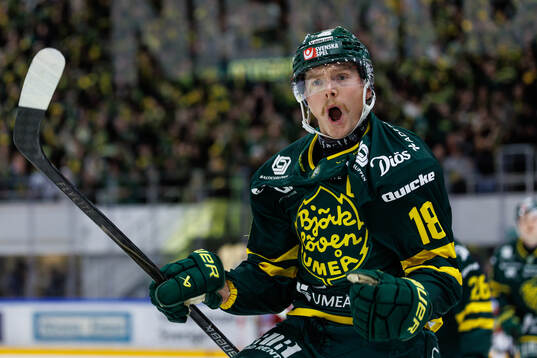 Bläddra bland fler bilder av Ishockey, Hockeyallsvenskan, Björklöven - Modo