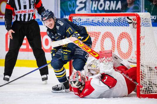 Södertäljes Brett Stapley och Almtunas målvakt Herman Liv