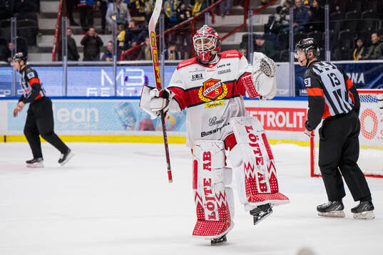 Almtunas målvakt Herman Liv jublar