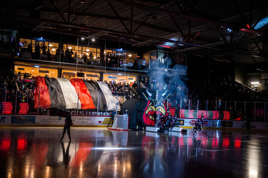 Nybros tifo