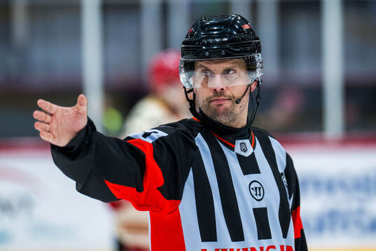Domare Johan Magnusson
