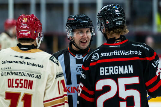 Domare Alex Eriksson