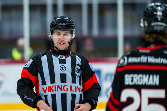 Domare Alex Eriksson