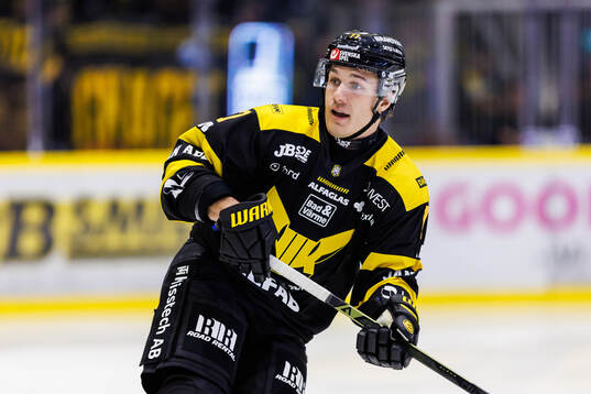 Västerås Oscar Birgersson