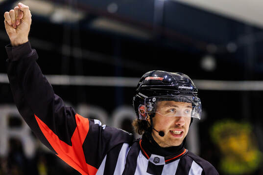 Domare Robin Jacobsson