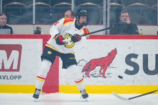 Brynäs Oona Koukkula
