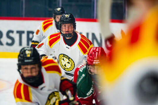 Brynäs Anna Andersson