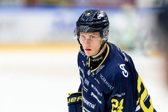 HV71s Noel Skarby
