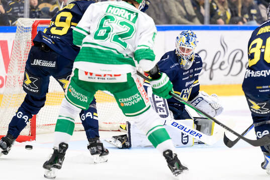 HV71s målvakt Lassi Lehtinen