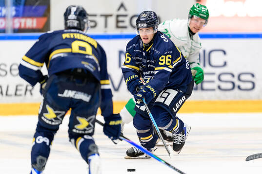 HV71s Nikola Pasic
