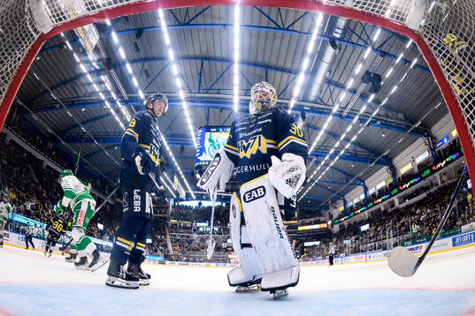 HV71s Lucas Lagerberg och målvakt Lassi Lehtinen deppar