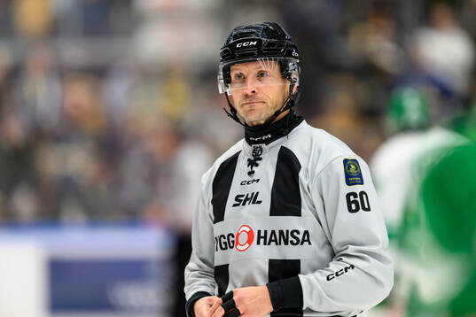 Domare Örjan Åhlen