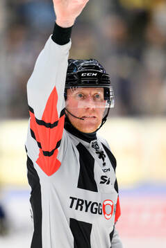 Domare Mikael Holm