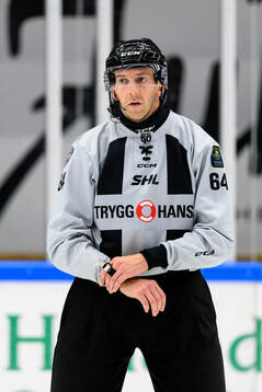 Domare Andreas Malmqvist