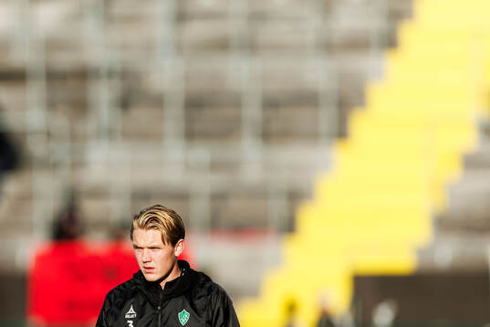 Brages Teodor Wålemark