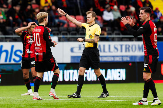 Domare Fredrik Alknäs