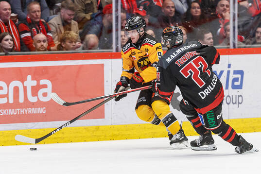 Luleås Brian O'Neill och Örebros Teemu Turunen