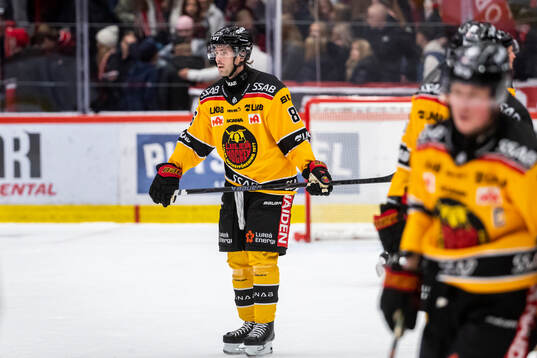 Luleås Mathias Bromé deppar