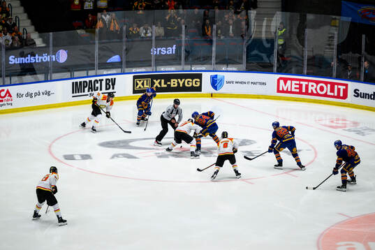 Brynäs och Djurgårdens spelare
