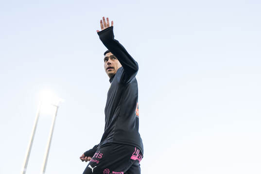 Häckens Danilo Al-Saed