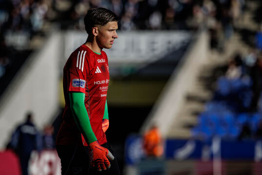 IFK Norrköpings målvakt David Andersson