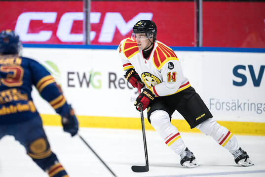 Brynäs Robert Hägg