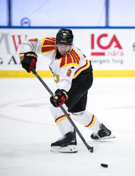 Brynäs Christian Djoos