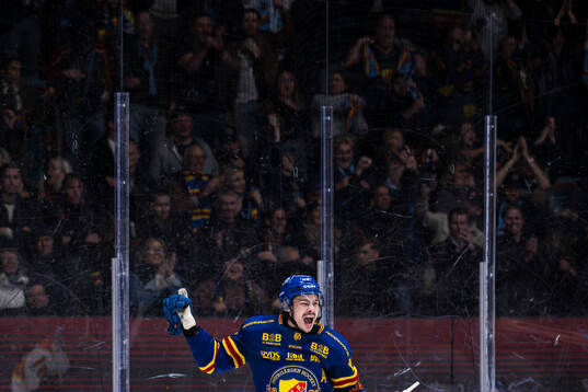 Bläddra bland fler bilder av Ishockey, SHL, Djurgården - Brynäs