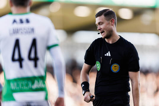 Domare Erik Mattsson