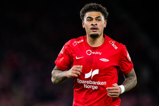 Noah Jean Holm of Brann