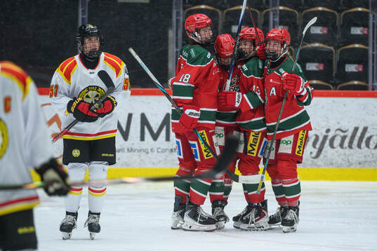 Bläddra bland fler bilder av Ishockey, SDHL, Modo - Brynäs