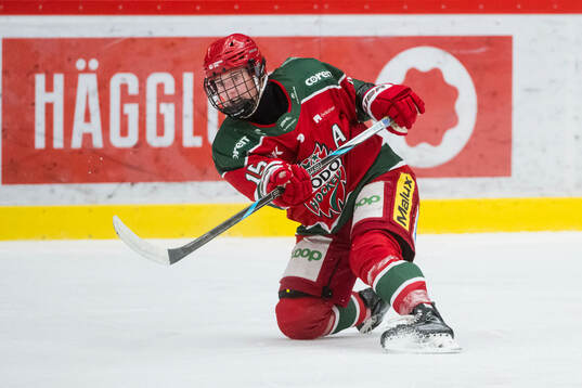Modos Linnéa Andersson