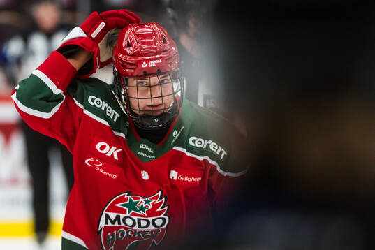 Modos Alyssa Mcleod jublar
