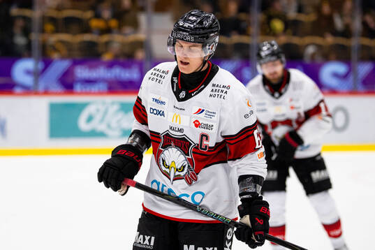 Malmö Redhawks Fredrik Händemark deppar