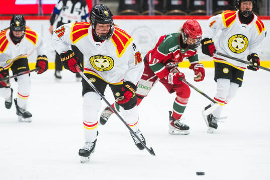 Brynäs Elin Svensson