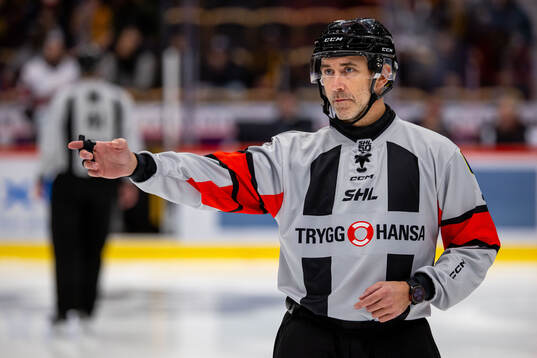 Domare Linus Öhlund