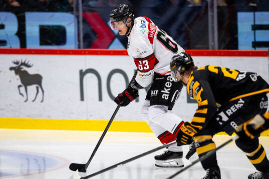 Malmö Redhawks Fredrik Händemark