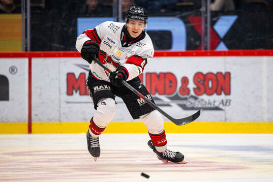 Malmö Redhawks Martin Schreiber