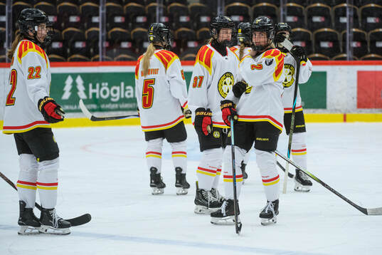 Brynäs spelare deppar