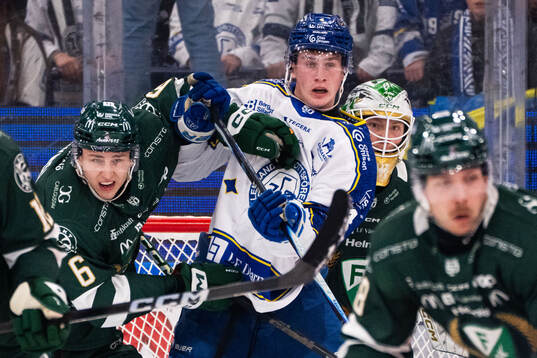 Leksands Tinus Luc Koblar