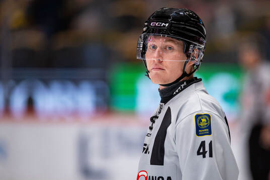 Linjedomare Teodor Sörholm