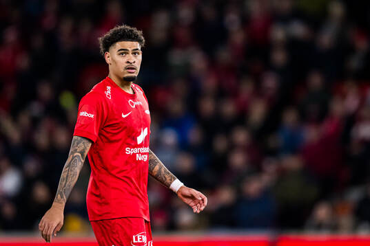 Noah Jean Holm of Brann