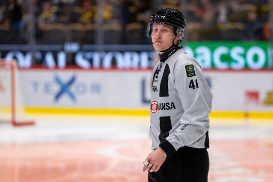 Linjedomare Teodor Sörholm