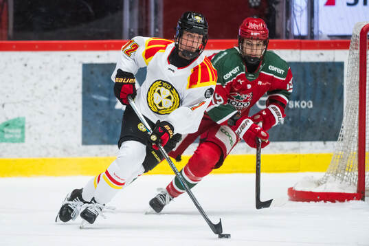 Brynäs Mina Waxin