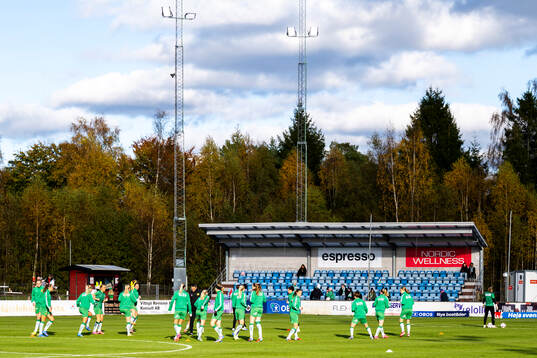 Hammarbys spelare