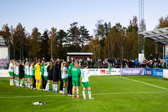 Hammarbys spelare jublar