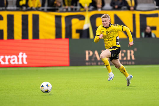 Elfsborgs Ari Sigurpálsson