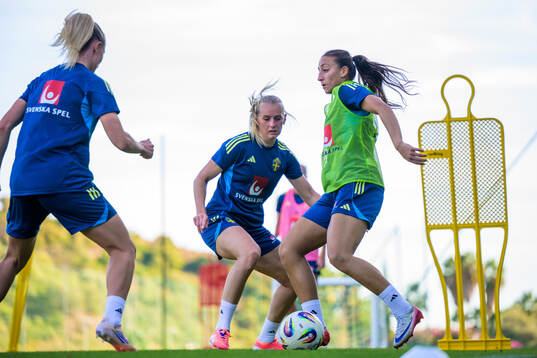 Stina Blackstenius and Rosa Kafaji of the Swedish women's